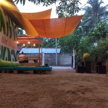 آروغام Coco Hostels - Arugambay المظهر الخارجي الصورة