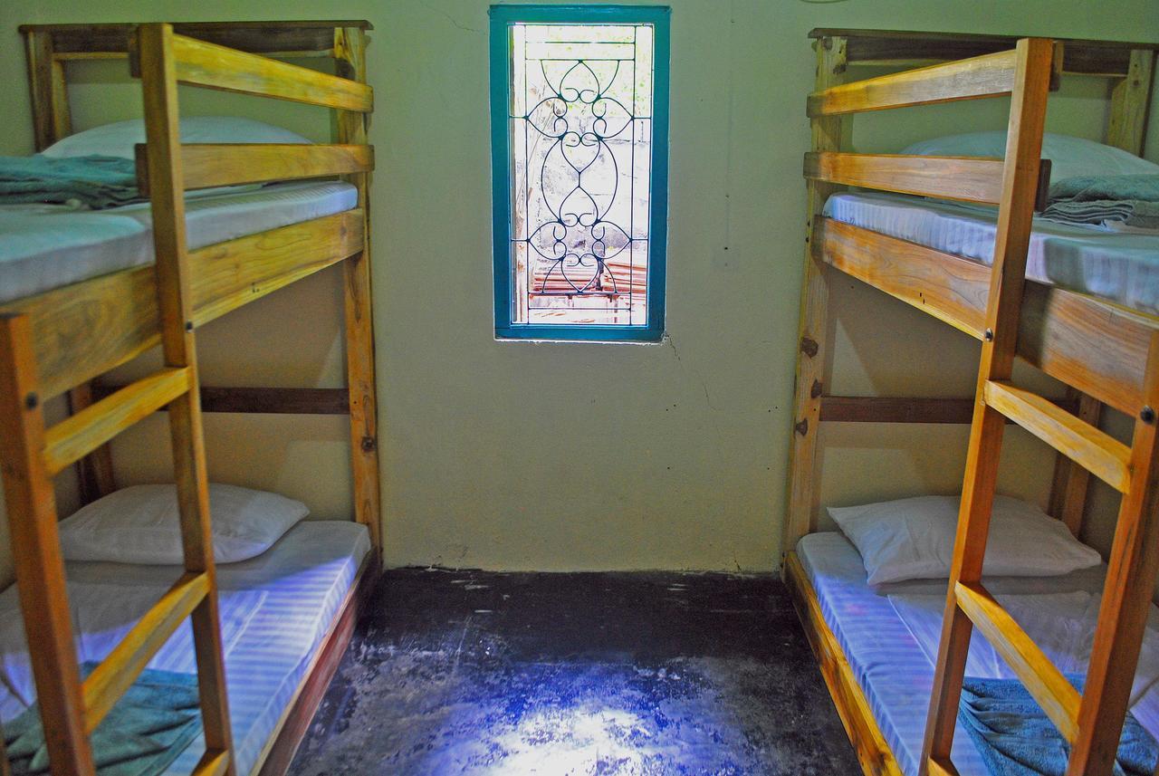 آروغام Coco Hostels - Arugambay المظهر الخارجي الصورة